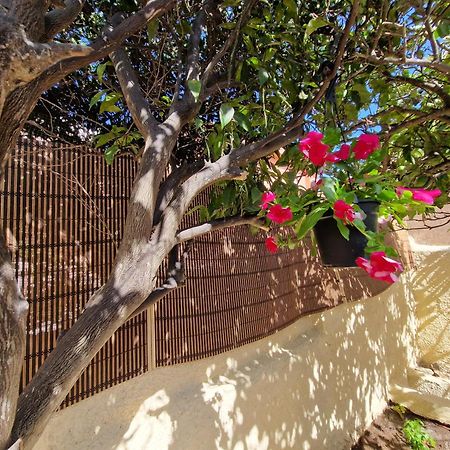 La Maddalena Holiday Home Zewnętrze zdjęcie