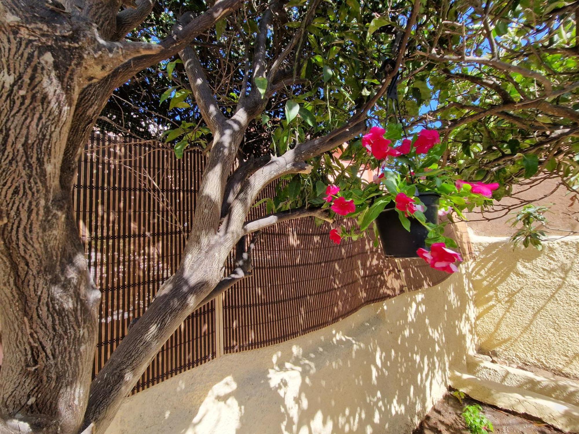 La Maddalena Holiday Home Zewnętrze zdjęcie